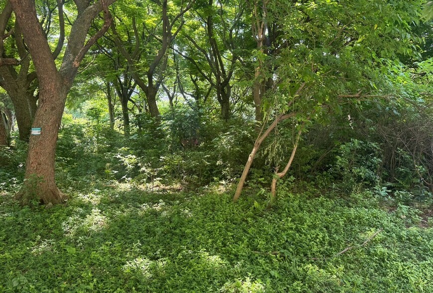 原住民保留地貸款9月上路，終結『有土無財』的世代困境