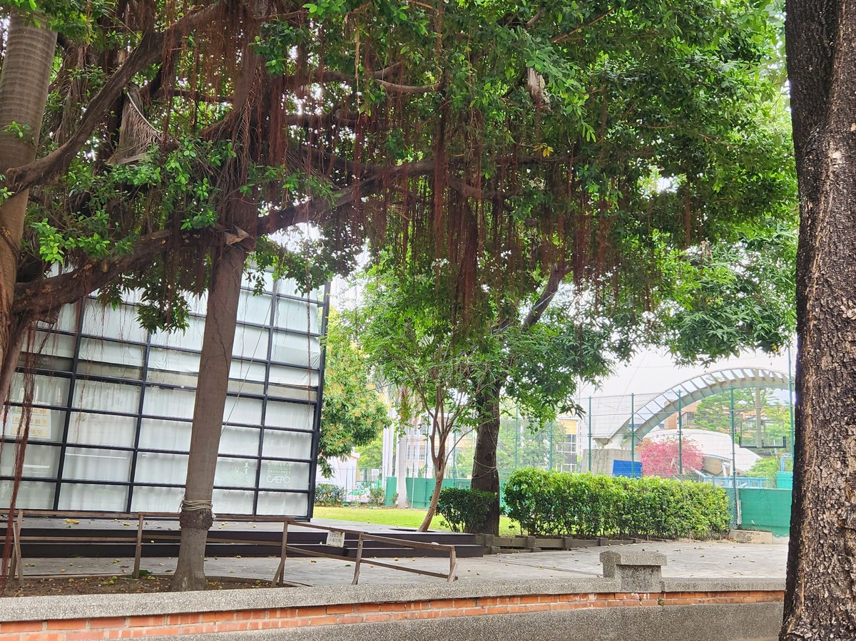 【台北降溫大作戰】水泥叢林變身綠色城市！市府四招破解「熱島效應」