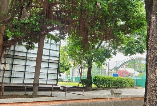 【台北降溫大作戰】水泥叢林變身綠色城市！市府四招破解「熱島效應」