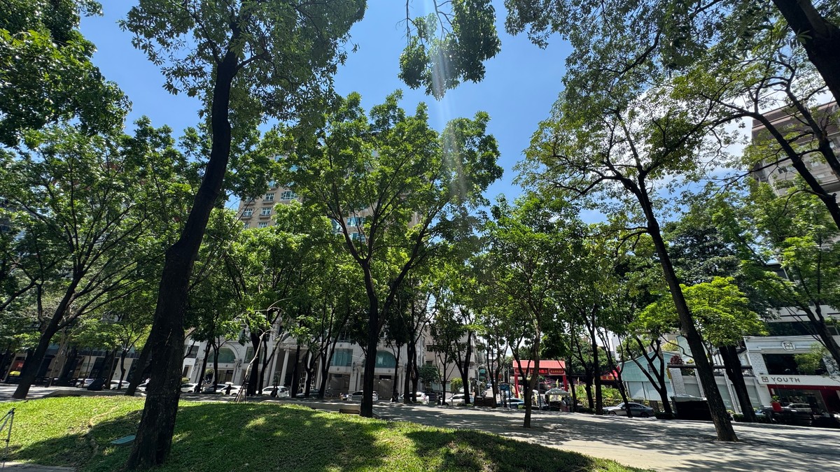 台中豪宅市場再創新高 品牌建商引領頂級住宅新標竿