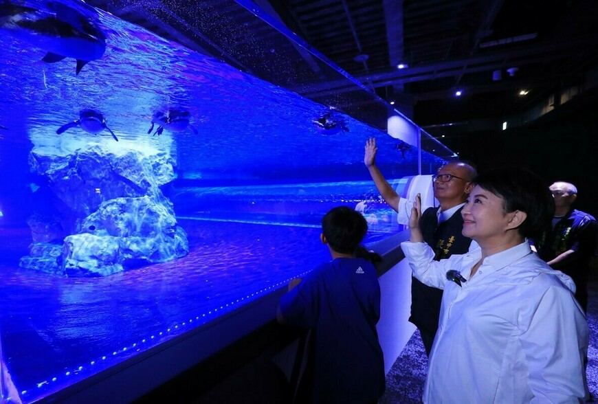  「不用飛國外！台中海洋館『沉浸式企鵝共遊』8/21開幕 濕地涉水區超吸睛」