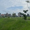 台北市「綠容率」新制明年上路 立體綠化打造降溫城市