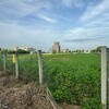 林口特定區重大變革：都市計畫通盤檢討通過，土地運用更趨彈性與務實