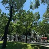 屋主3年翻倍賣房合理嗎？不想當韭菜出價策略大公開