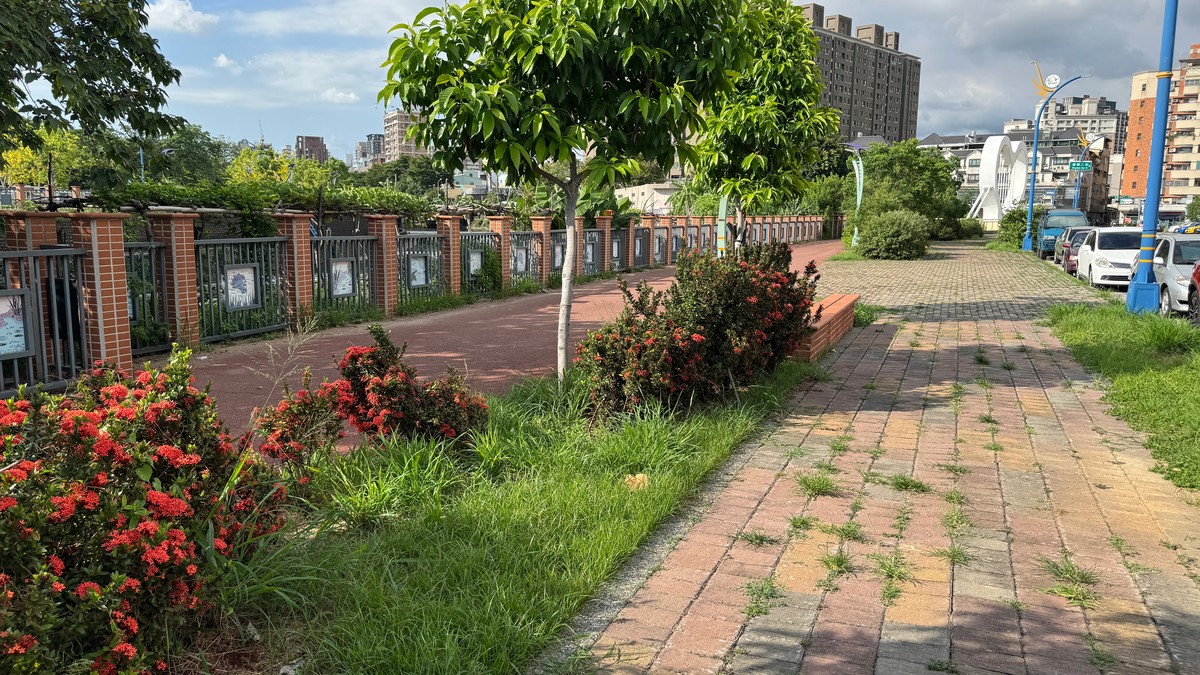 碳封存管理辦法草案跨部會協商中 環境部目標115年完成發布