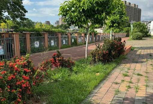 碳封存管理辦法草案跨部會協商中 環境部目標115年完成發布