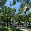 廣達股東置產難題！4千萬林口透天vs北市蛋黃區 專家分析「子女教育+資產配置」雙贏策略