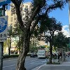 輝達事件終章！「圖利障礙消失」誰能提出優雅下台解方