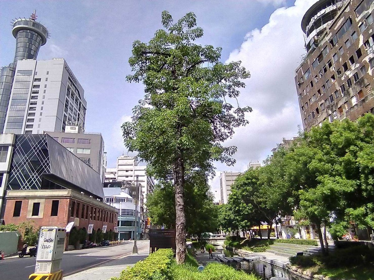 老房交易失寵? 公寓神話破滅！雙北以外老宅陷跌價危機