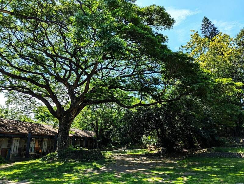 高雄新市鎮3期爭議　橋頭糖廠恐被60米道路切割 環團倡森林遊樂區保文化資產| M傳媒