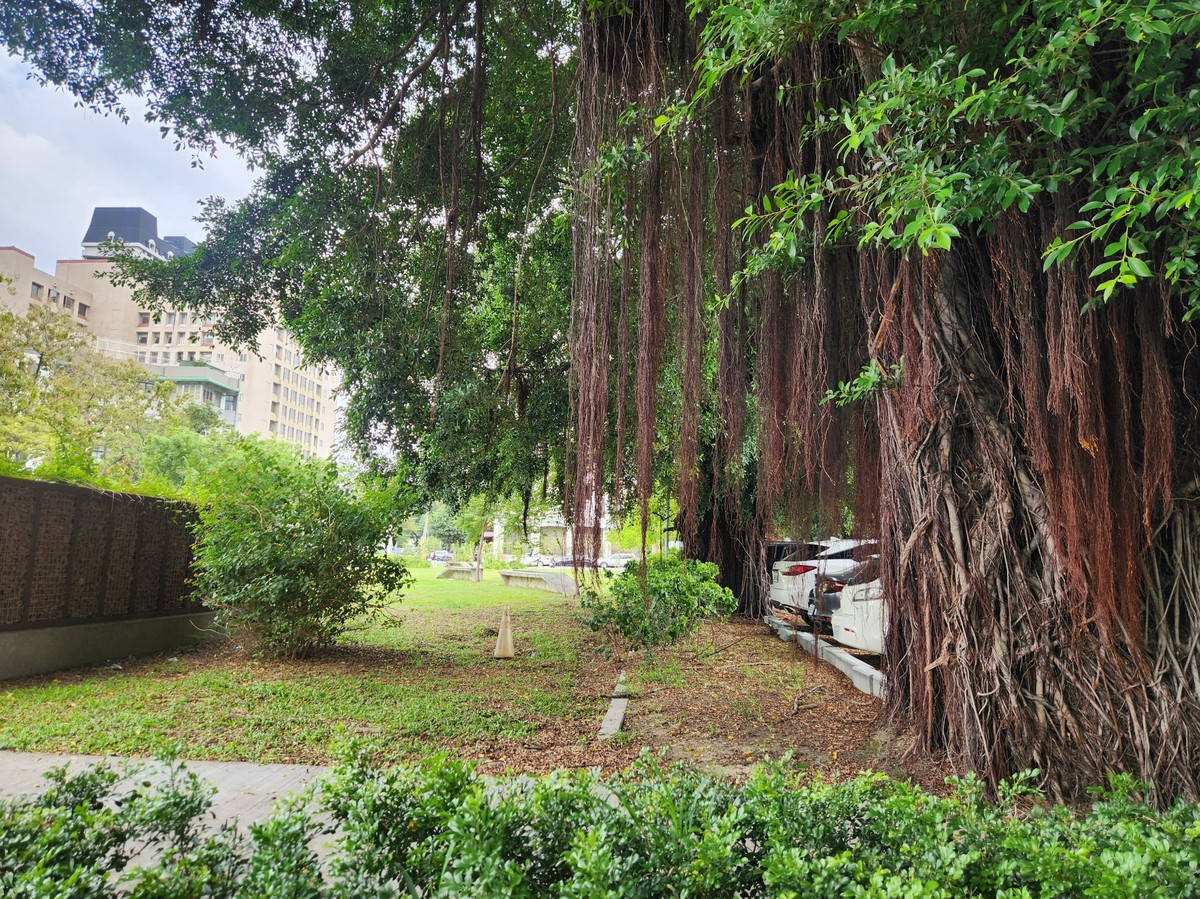 持分只有1/4也能大逆轉！家族土地原本要被「七折賣掉」　他靠一招找金主反殺全場：真正的勝利者竟不是買方