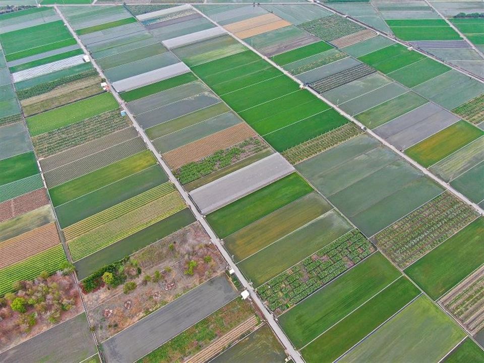 彰化縣12月15日辦理農地重劃區抵費地標售 26筆土地釋出農耕新機會 | M傳媒