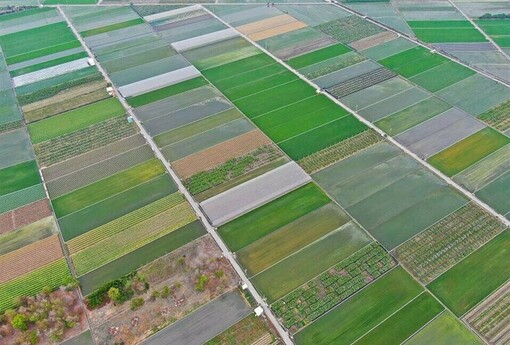 彰化縣12月15日辦理農地重劃區抵費地標售 26筆土地釋出農耕新機會 | M傳媒