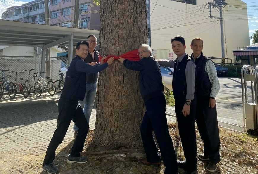 百年樟樹、日式老屋與珍貴檔案！東勢地政「護產傳承嘉年華」帶你穿越百年土地故事