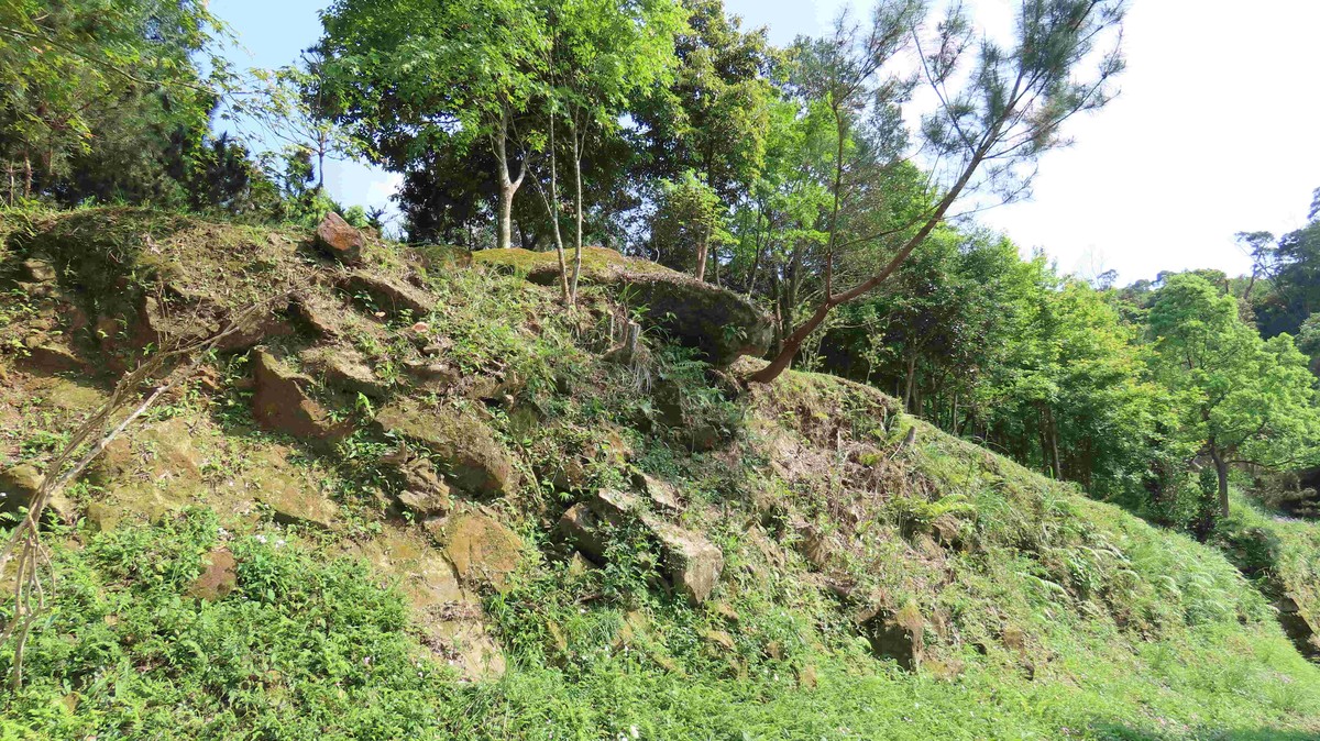 聖誕節、跨年放煙火不要亂放 小心森林火災 共同守護山林資源