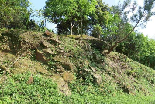 聖誕節、跨年放煙火不要亂放 小心森林火災 共同守護山林資源