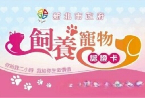 新北犬貓飼主注意囉，自115年1月1日起絕育補助開跑