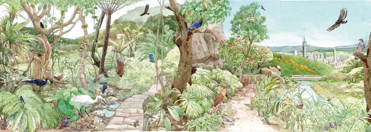 白天黑夜都精彩，一起走進臺北淺山的秘密世界！