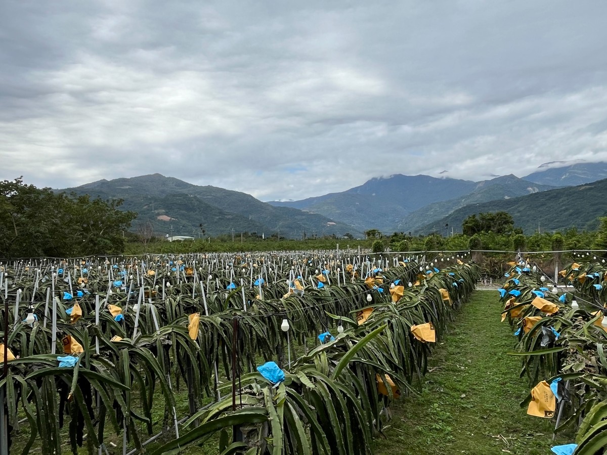 延宕近30年 公地放領終實現！ 臺東縣全國首例通過縣有地放領審議 落實遲來土地正義