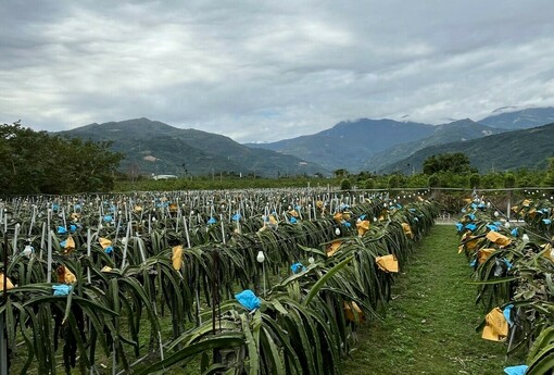 延宕近30年 公地放領終實現！ 臺東縣全國首例通過縣有地放領審議 落實遲來土地正義