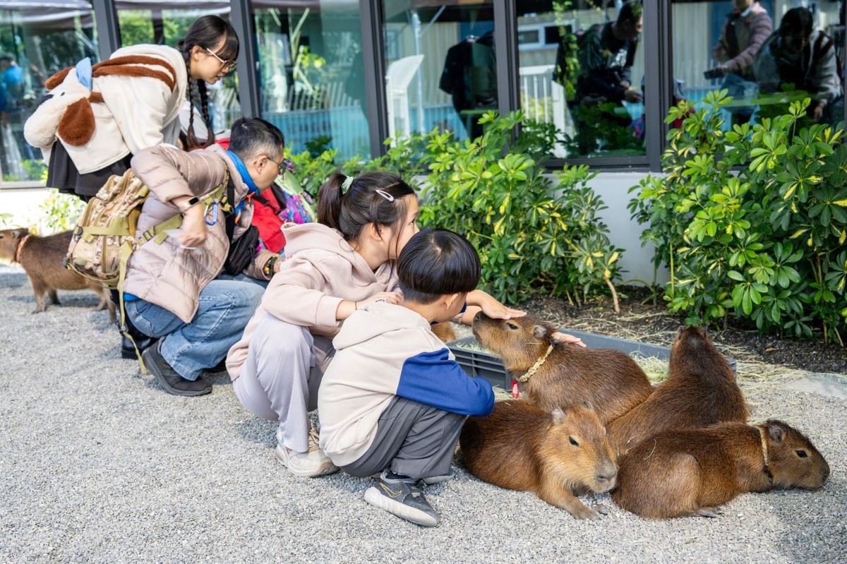 內門觀光休閒園區「野森動物學校」試營運 陳其邁：打造東高雄新亮點 攜手地方共好