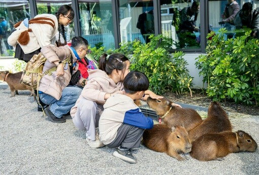 內門觀光休閒園區「野森動物學校」試營運 陳其邁：打造東高雄新亮點 攜手地方共好