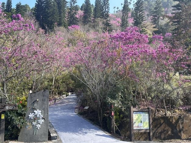 南市府推動楠西、玉井等山區經濟振興 邀請全國民眾春節走訪山城 感受不一樣的臺南風情