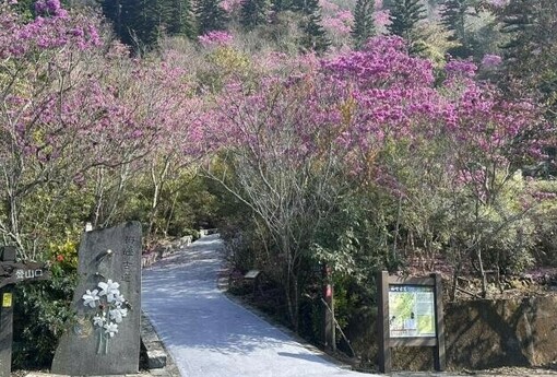 南市府推動楠西、玉井等山區經濟振興 邀請全國民眾春節走訪山城 感受不一樣的臺南風情