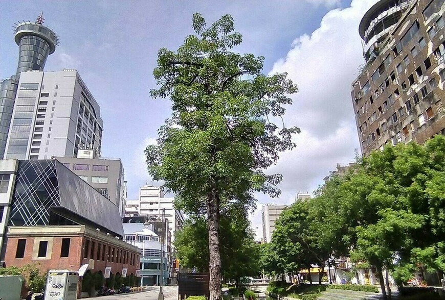 買近十年新房,為什麼建材問題特別多? 不只是工班,其實是蓋房子「邏輯」變了!