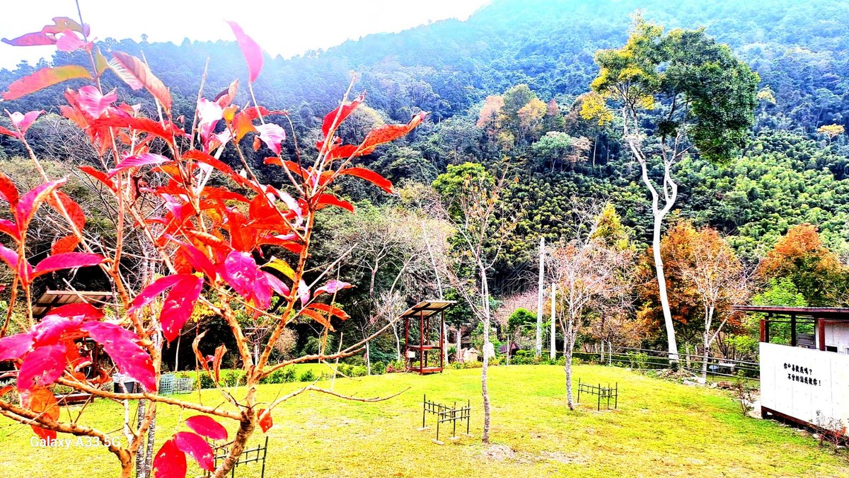 竹縣露營場合法化添新頁! 核發首件農牧用地露營場登記