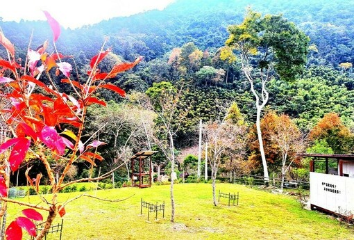 竹縣露營場合法化添新頁! 核發首件農牧用地露營場登記