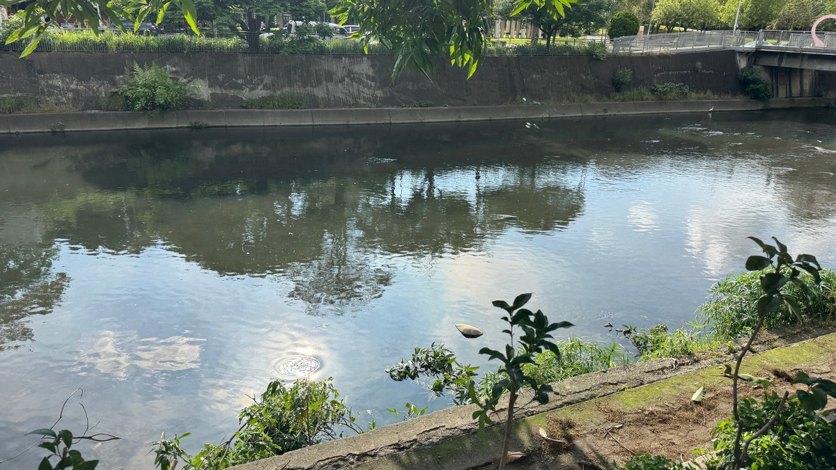 土方去化變方便門？南市開放異地暫置與交換利用　業界憂：恐成偷倒新漏洞