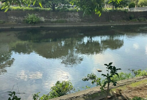 土方去化變方便門？南市開放異地暫置與交換利用　業界憂：恐成偷倒新漏洞