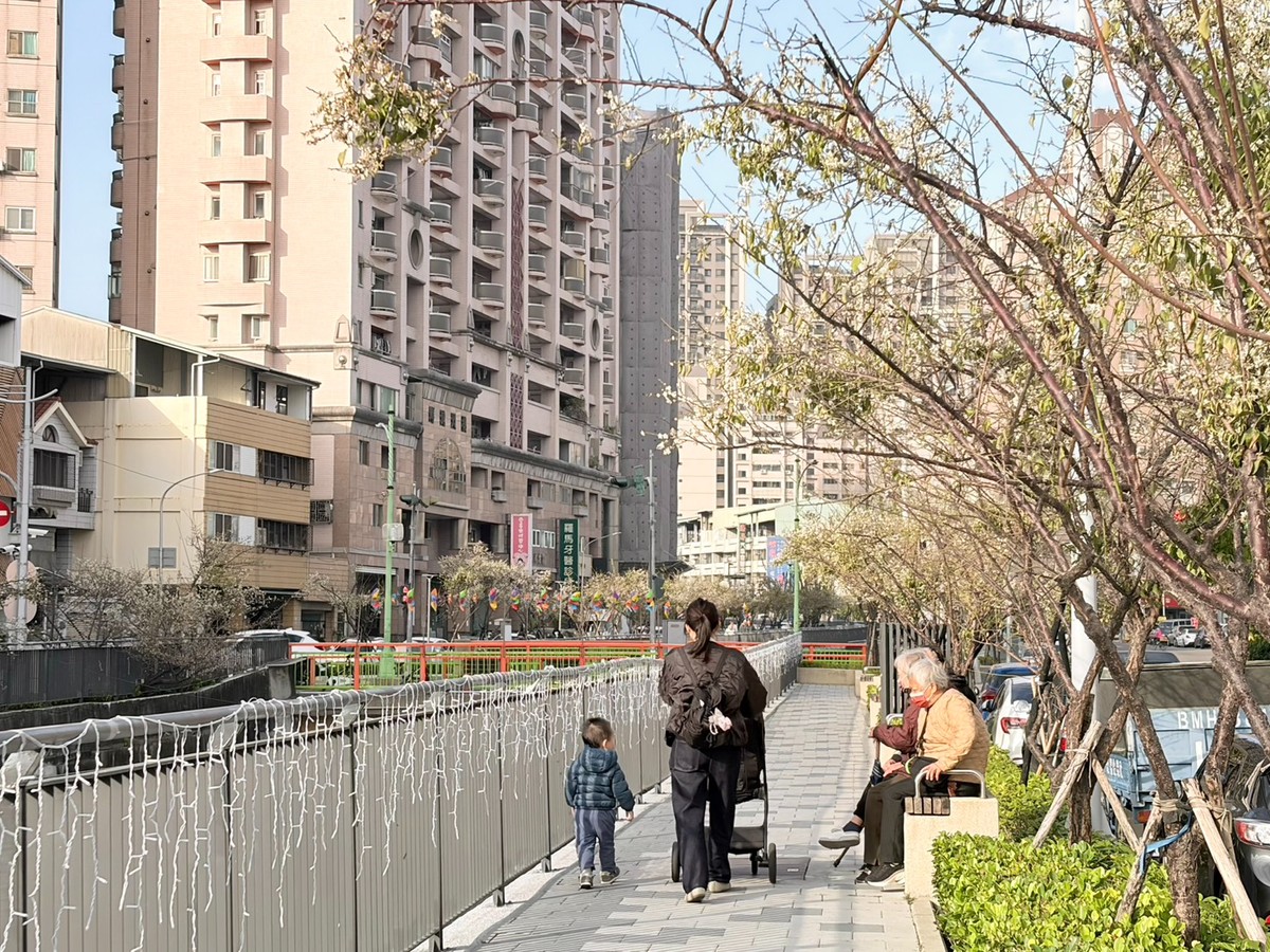 梅川沿岸梅花盛開！中市推動人本改善 串聯市區賞花更安全舒適