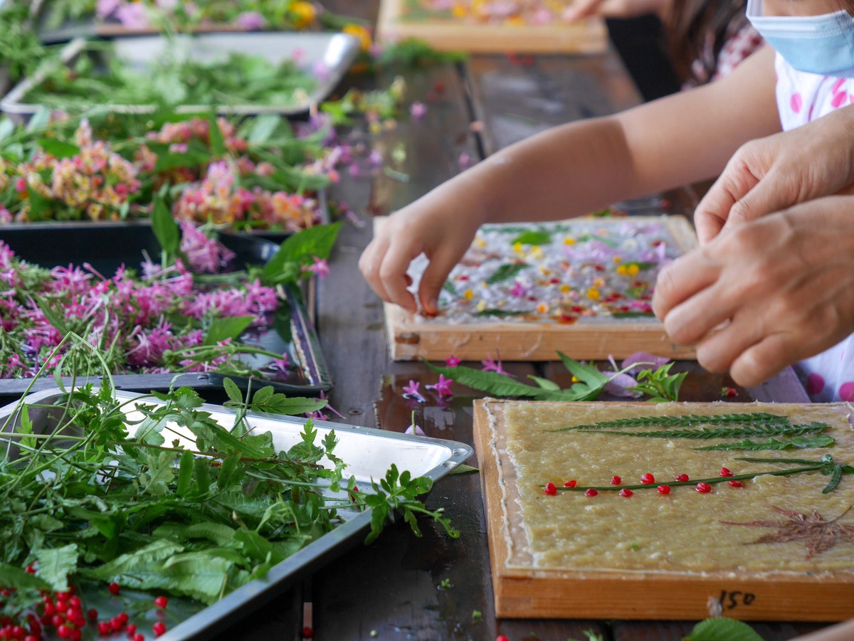 冬末初春遊瑞里，茶園、瀑布與紫藤花打造嘉義山城療癒之旅