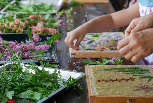 冬末初春遊瑞里，茶園、瀑布與紫藤花打造嘉義山城療癒之旅
