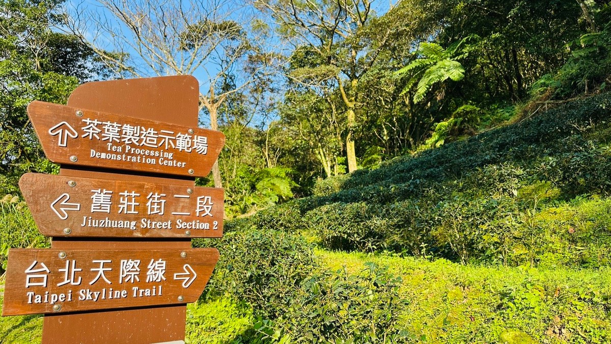 走讀包種茶香，漫遊茶山步道