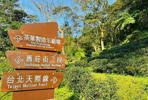 走讀包種茶香，漫遊茶山步道