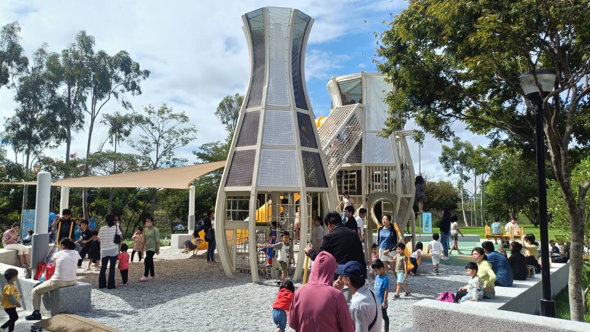 春節賞花首選「后里環保公園」！ 黃波斯菊、向日葵接力登場 喜迎馬年好去處