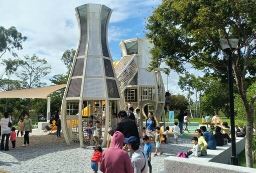 春節賞花首選「后里環保公園」！ 黃波斯菊、向日葵接力登場 喜迎馬年好去處