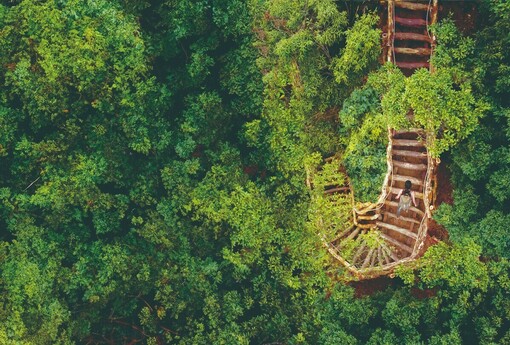 迎農曆新年 台中春節旅遊優惠與營運時間一次掌握