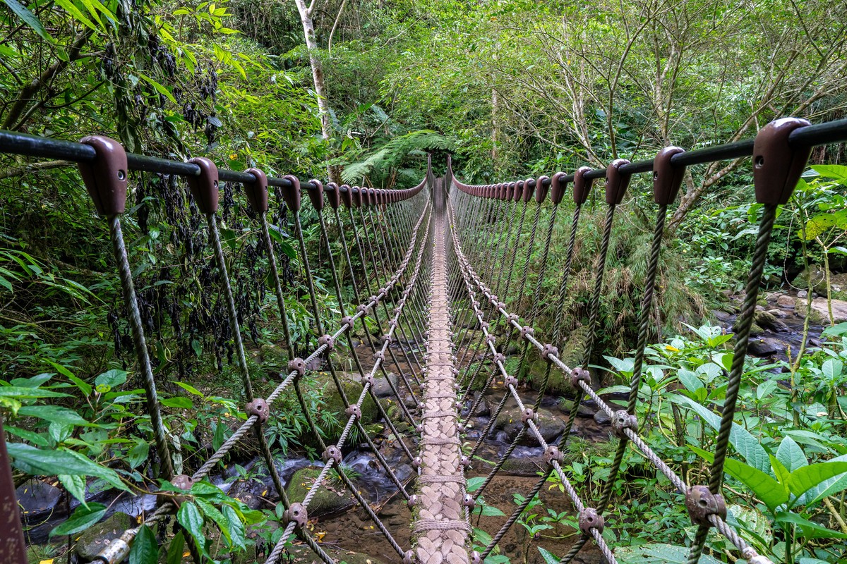 馬到成功迎新春！竹縣精選3條「馬」字步道 邀民眾健行迎好運