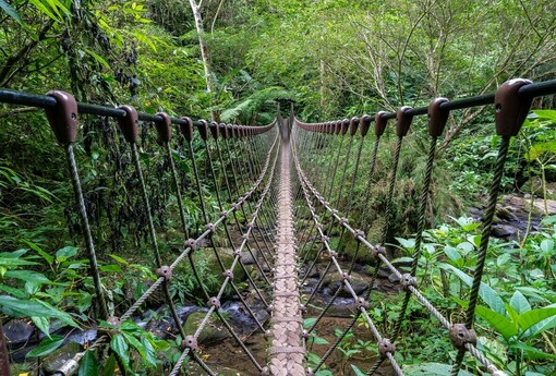 馬到成功迎新春！竹縣精選3條「馬」字步道 邀民眾健行迎好運