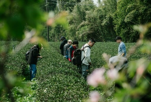 深度旅遊正夯!竹縣「新竹走走」春季將推4條新遊程　