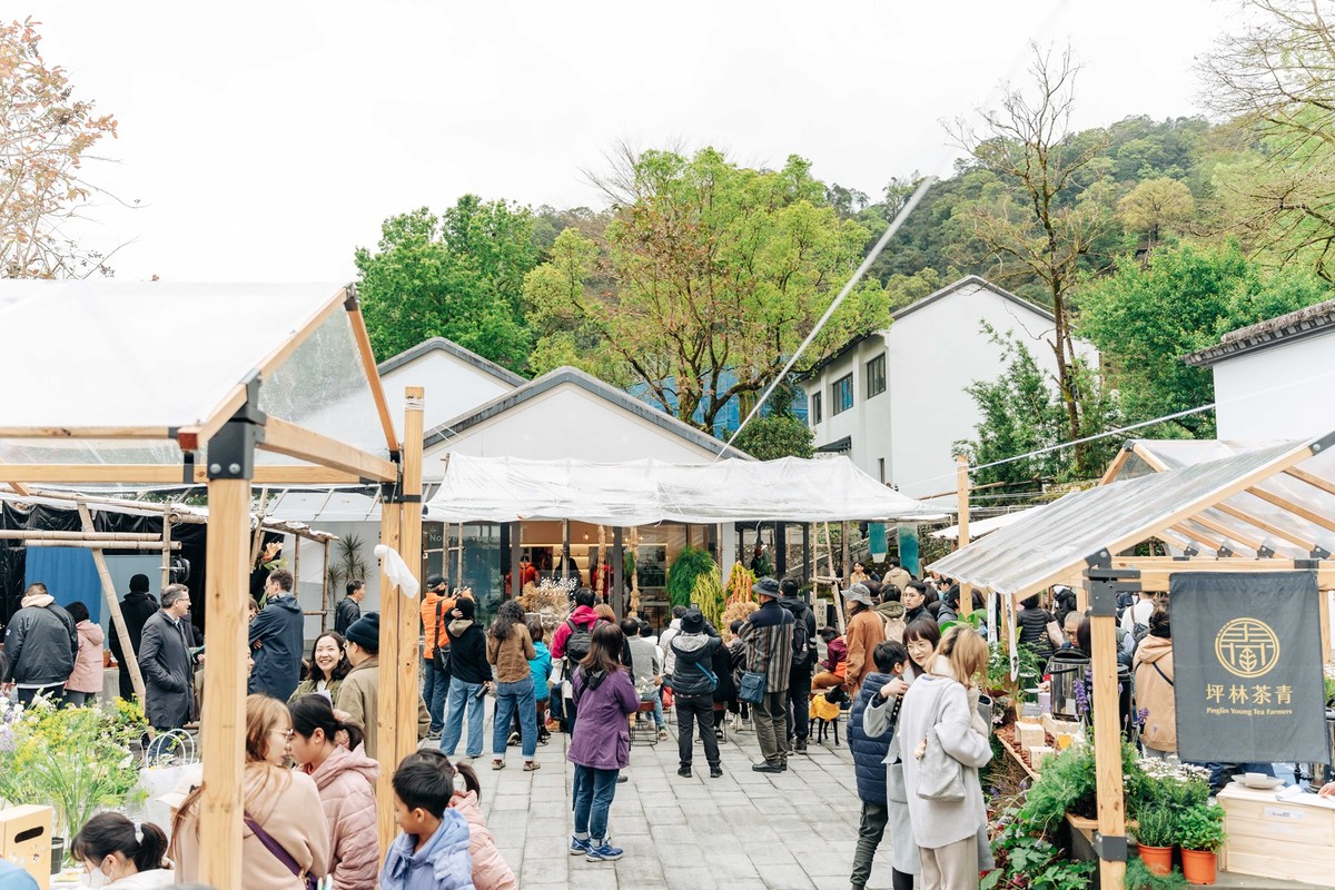 「2026茶山繚療」3月登場 3/21、22坪林茶業博物館「茶山市」亮相