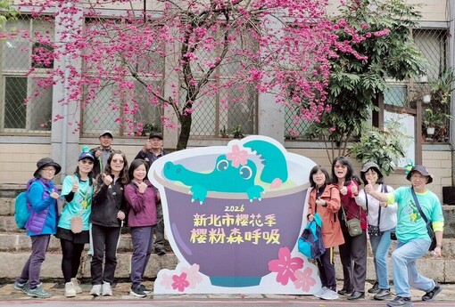 石碇櫻花季「櫻粉森呼吸」登場 老街賞櫻打造山城春日盛會