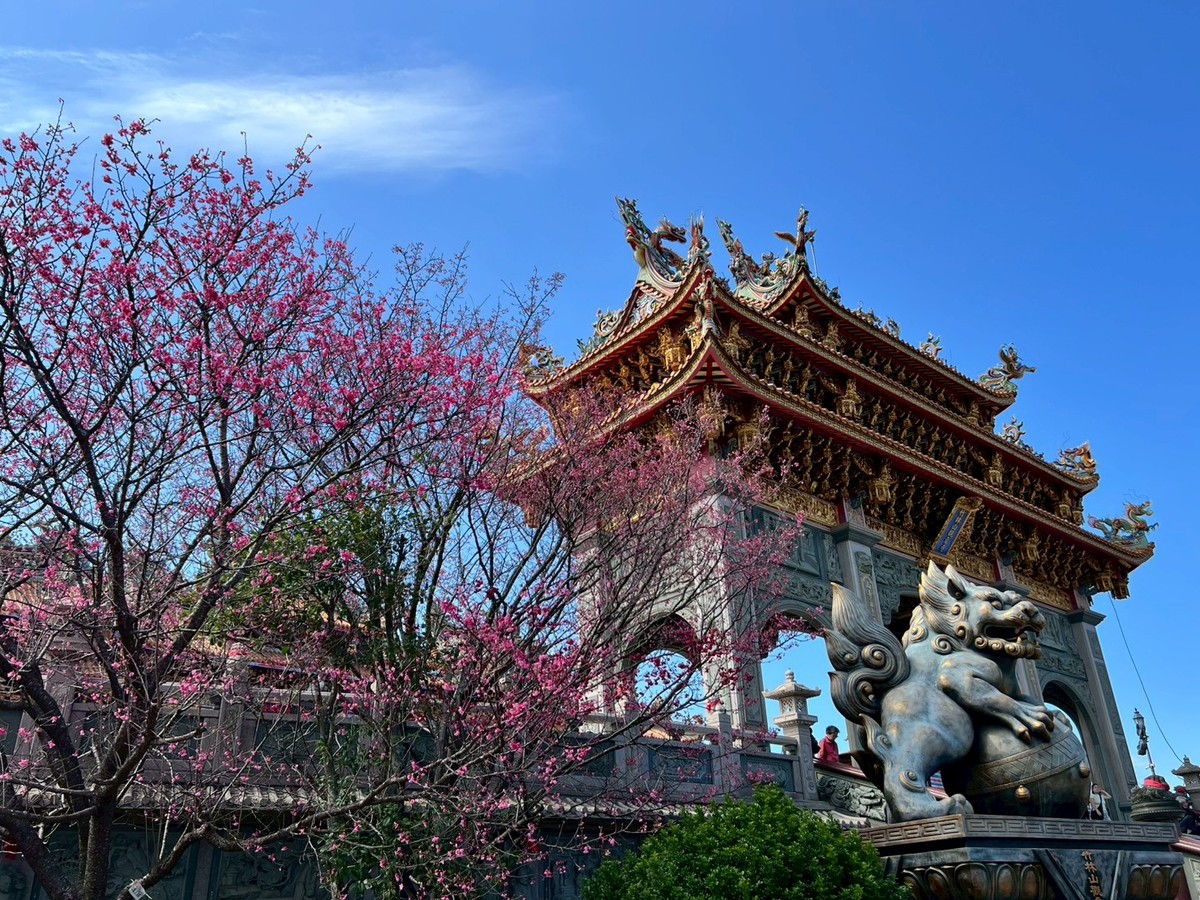 春暖花開迎好運　林口竹林山寺賞櫻祈福一次滿足