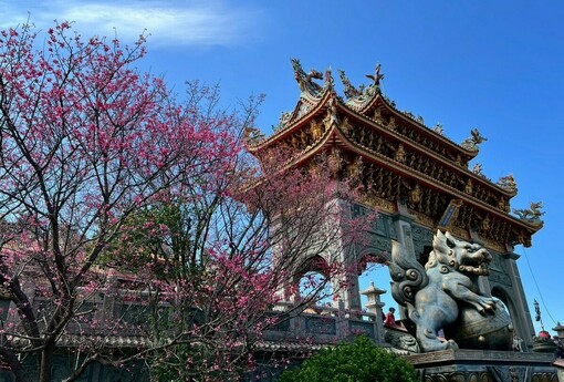 春暖花開迎好運　林口竹林山寺賞櫻祈福一次滿足