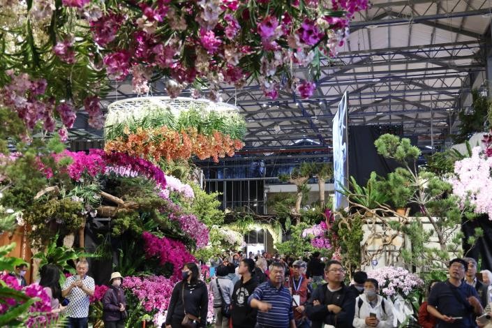 AI花海邂逅春日浪漫　2026臺灣國際蘭展串聯燈會打造婦女節賞花新體驗