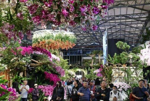 AI花海邂逅春日浪漫　2026臺灣國際蘭展串聯燈會打造婦女節賞花新體驗
